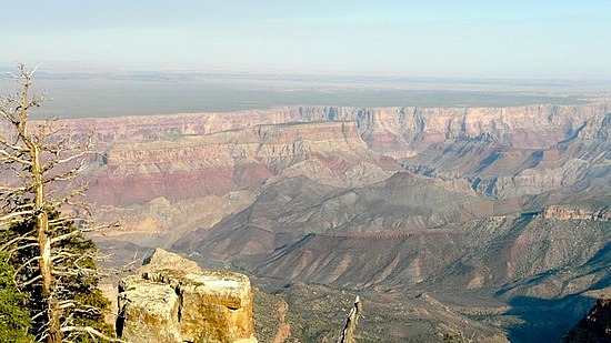 Views from the Trail