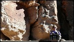 Hickison Petroglyphs