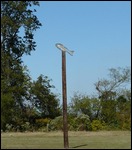 Mississippi Humor?