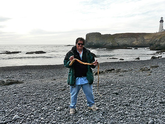 Bull Kelp Cobblestone Beach