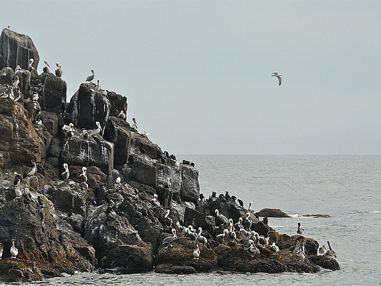 Near Cobblestone  Beach