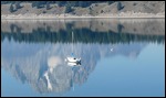 Boat on Jackson Lake