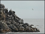 Near Cobblestone  Beach